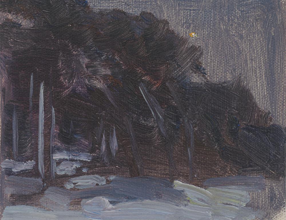 Landschaft bei Nacht