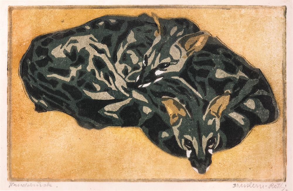 Genets (genet cats)