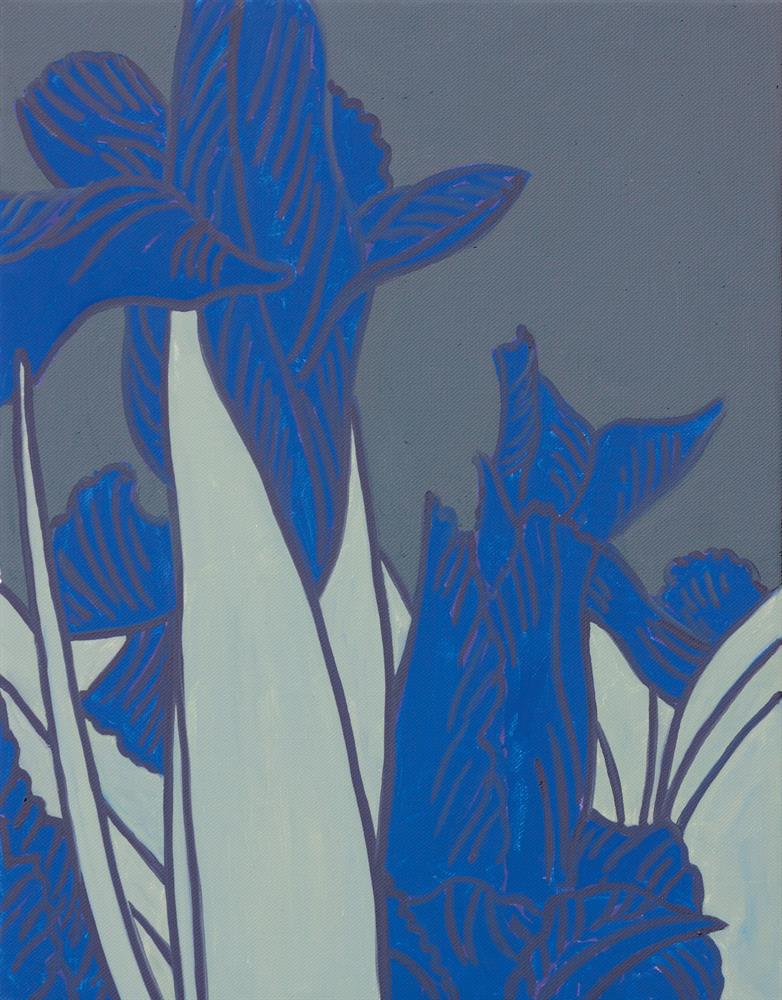 "Iris II"